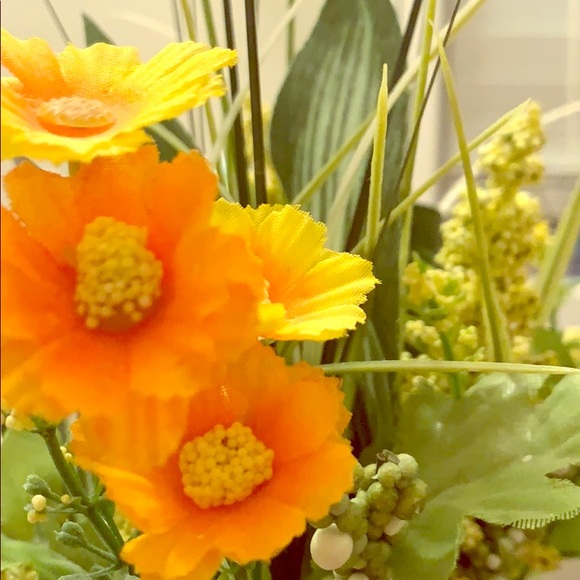 Meet your Posher, Shalom - Picture 1 of 1